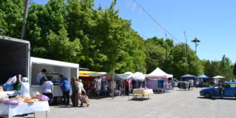 Expoziţia universală “Primăvara la Donduşeni”, ediţia I, 18-21 mai 2017