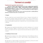 4 hackathon terms-and-conditions-page-001