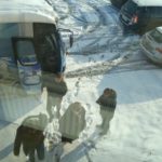 IMG_20181120_102751