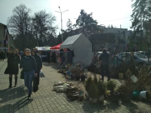 IMG_20190307_115255