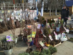IMG_20200220_112215