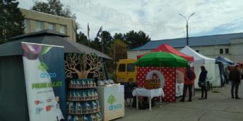 Expoziția-tîrg “Toamna de aur la Edineț 2020”