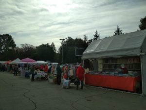 expo Toamna de Aur 2020