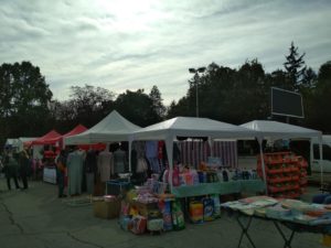 expo Toamna de Aur 2020 (5)