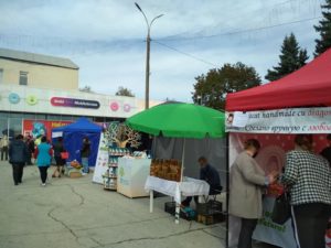 expo Toamna de Aur 2020 (6)