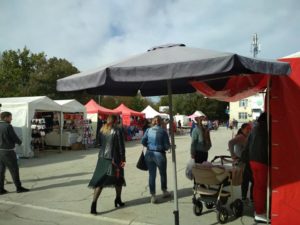 expo Toamna de Aur 2020 (7)