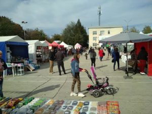 expo Toamna de Aur 2020 (8)