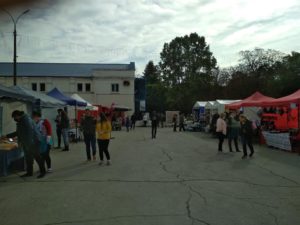 expo Toamna de Aur 2020 (9)