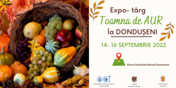 Toamna de aur la Donduşeni