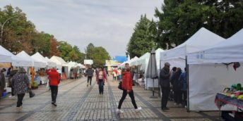 Minunatul final de “Septembrie la Edineţ 2022”